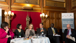 Speakers at the world malaria report panel event